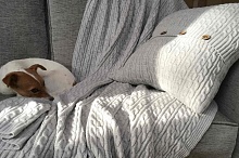 Светло-серый вязаный плед с подушкой и собака